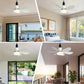 💡 LIMITED-TIME 50% RABATT! ✨ 2-IN-1 Deckenventilator & Licht – Tragbar, Fernbedienung