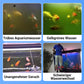 🚀Kaufen 3 und erhalten 5 gratis♻️💧Leistungsstarke Wasserreinigungstablette für Aquarien